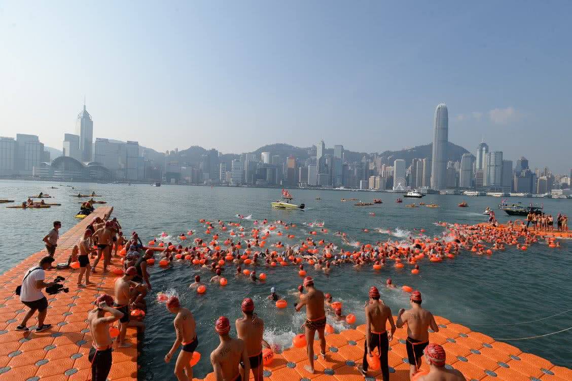 New World Harbour Race