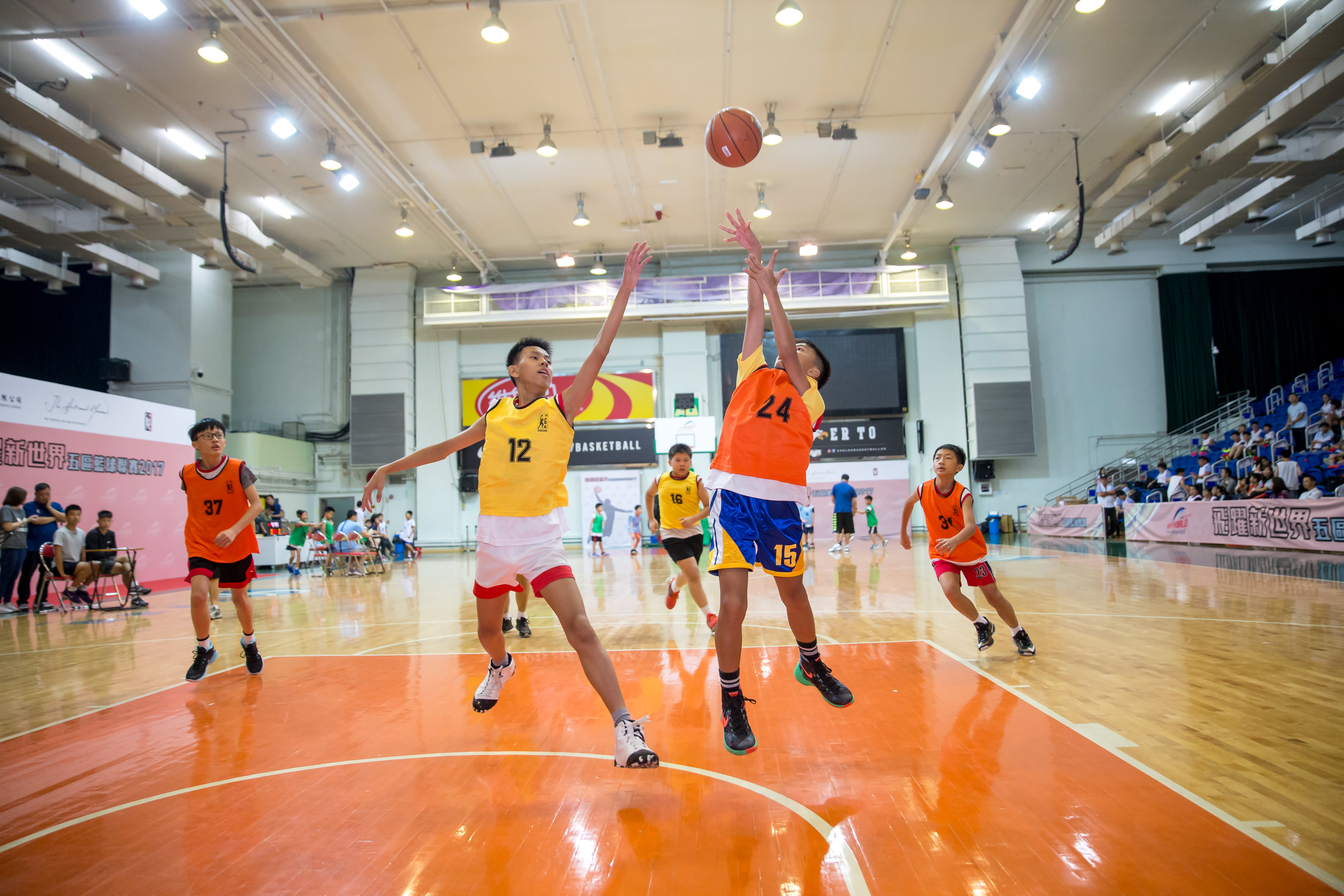 New World Basketball League