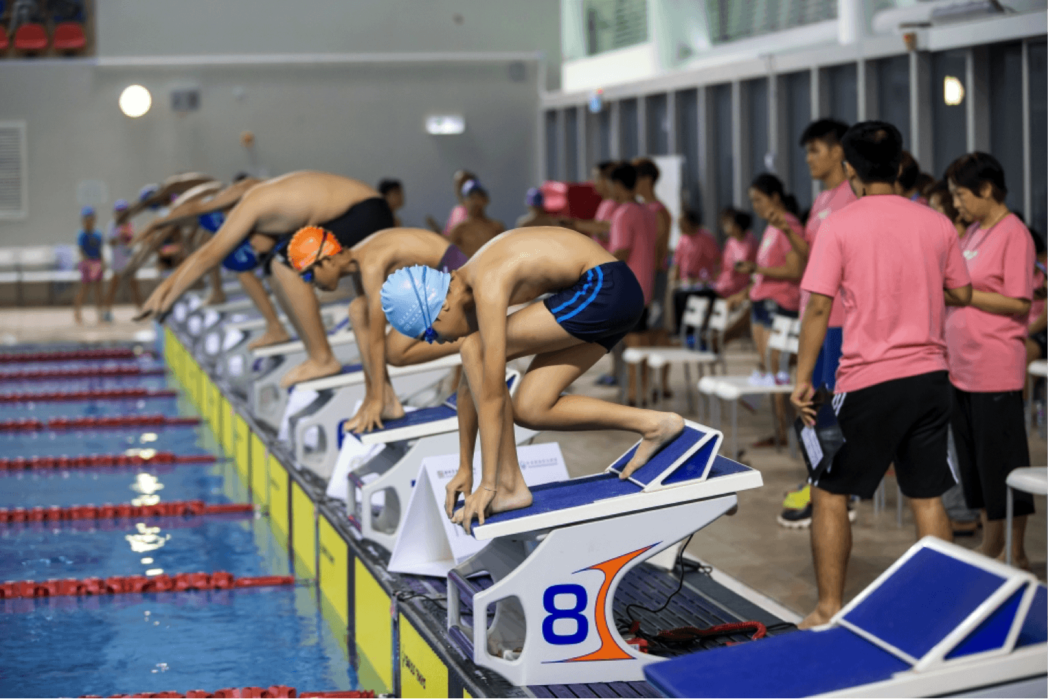 New World Swimming Academy